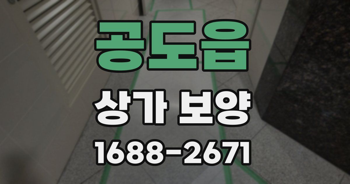 공도읍 상가 보양