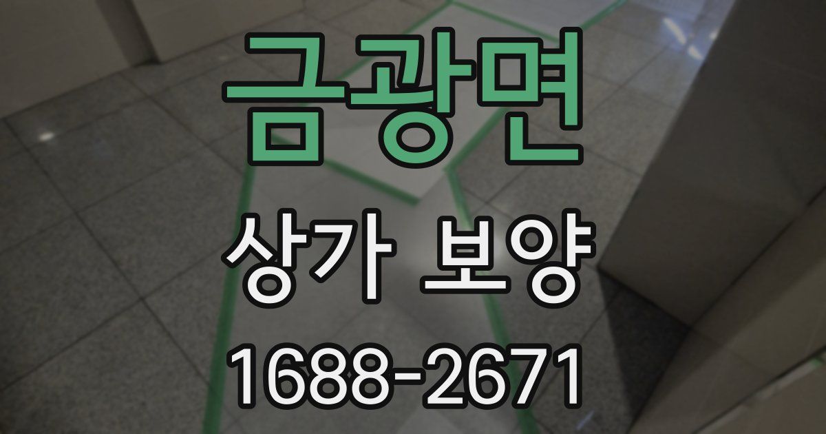 금광면 상가 보양