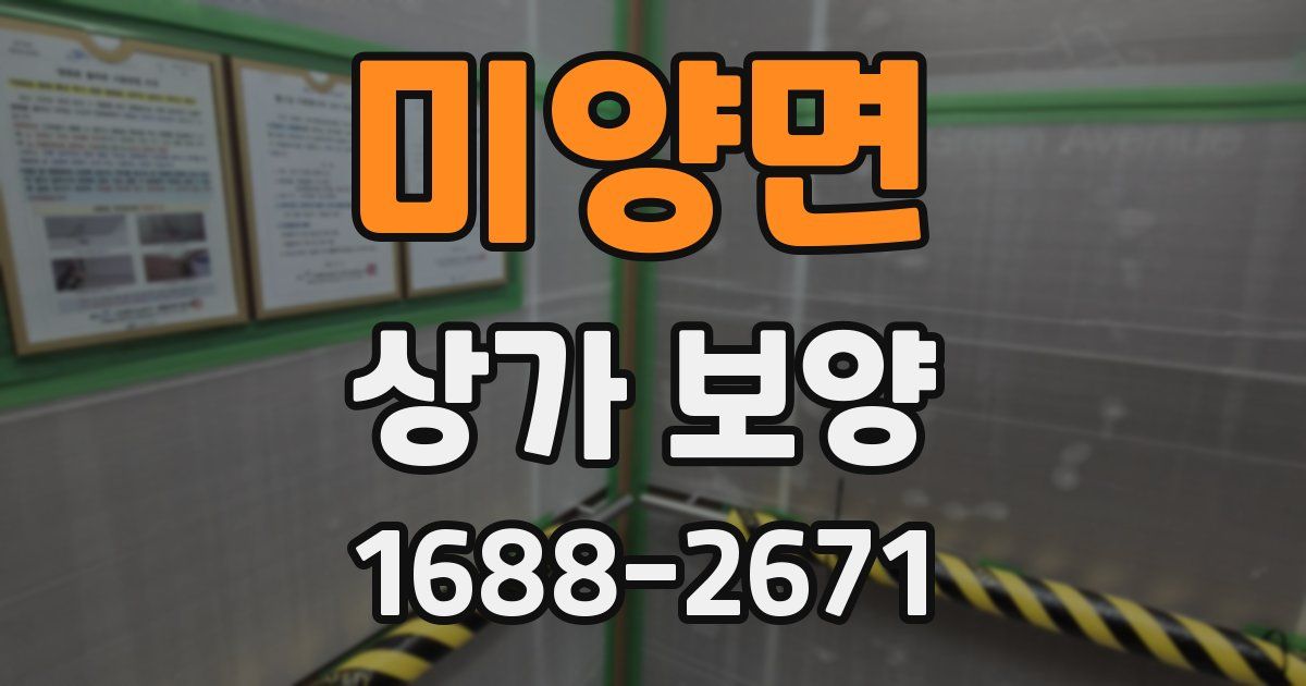 미양면 상가 보양