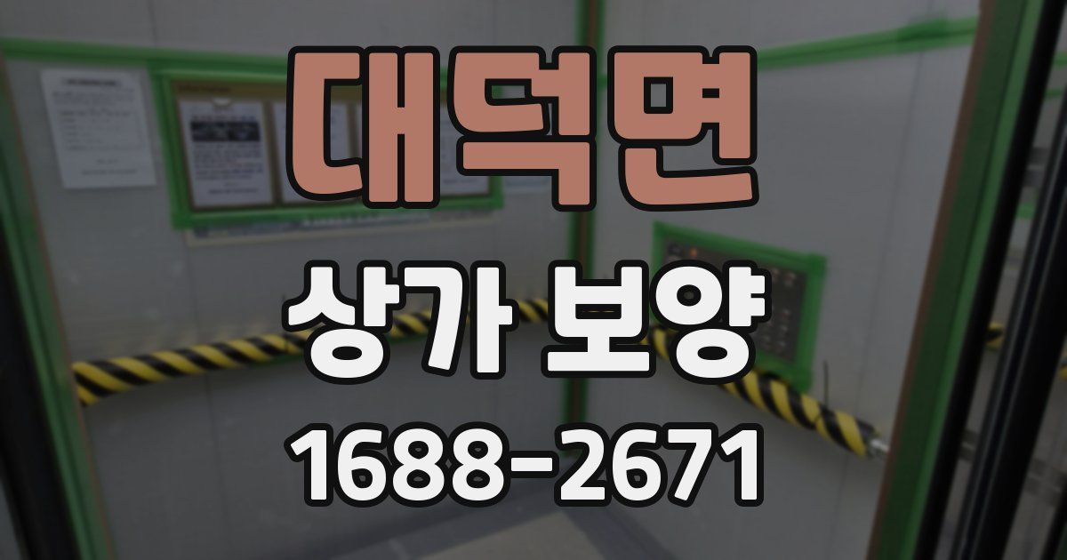 대덕면 상가 보양