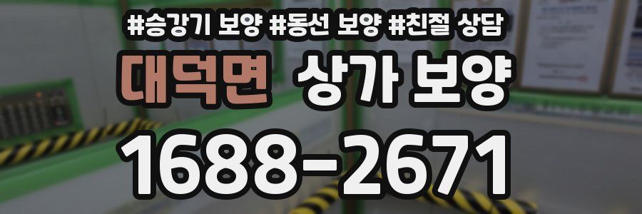 대덕면 상가 보양
