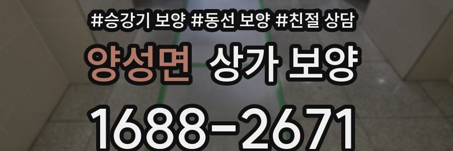 양성면 상가 보양