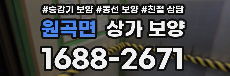 원곡면 상가 보양