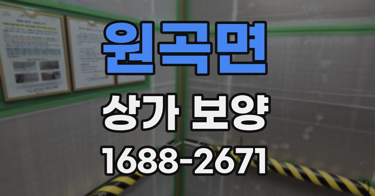 원곡면 상가 보양