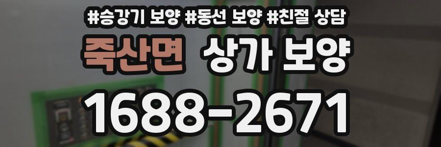 죽산면 상가 보양