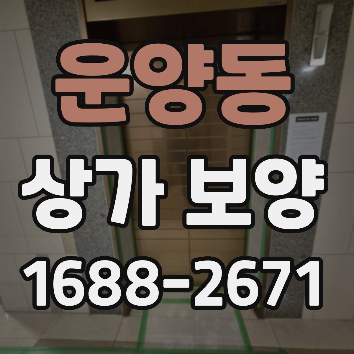 운양동 상가 보양 준비 과정에서 빠지기 쉬운 항목