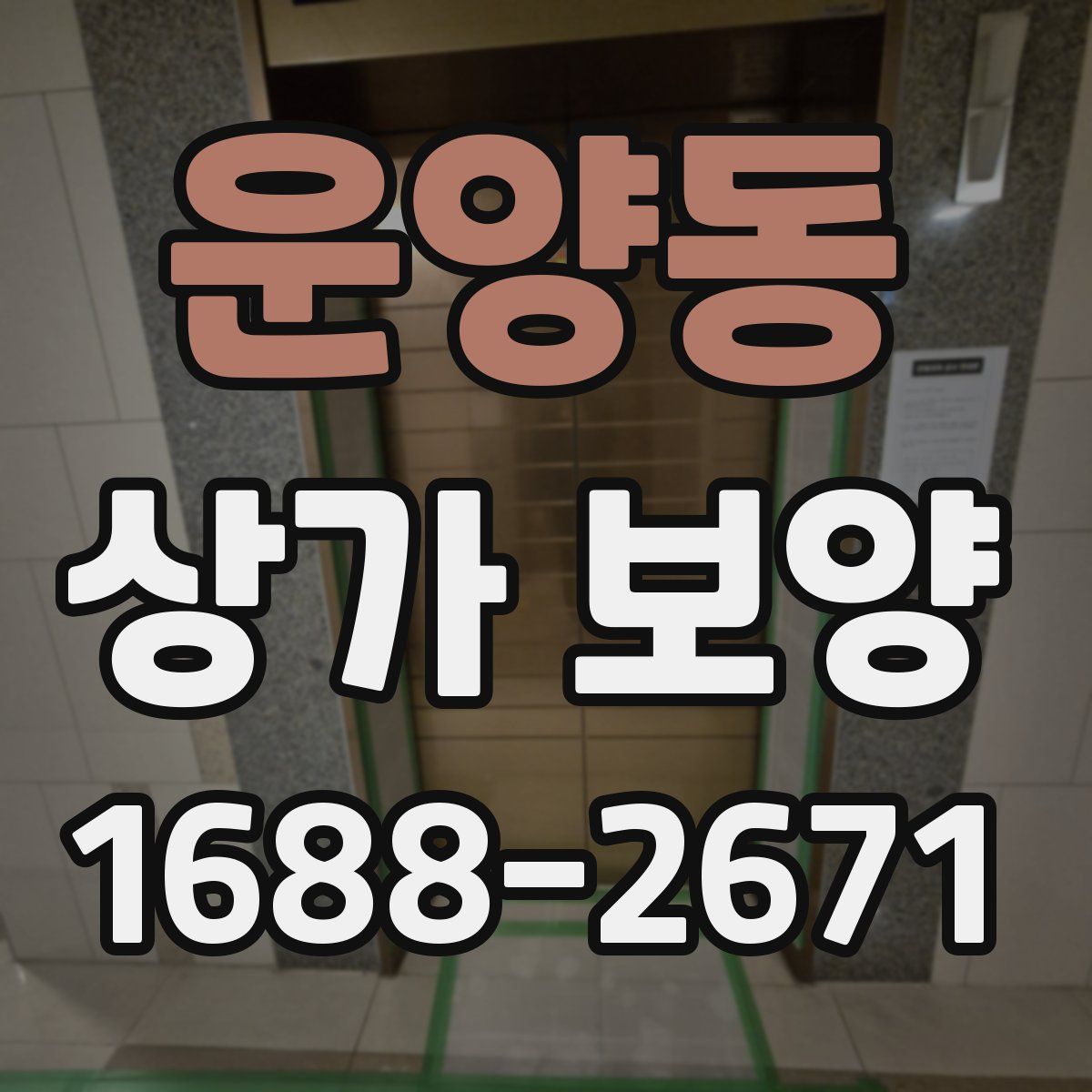 운양동 상가 보양