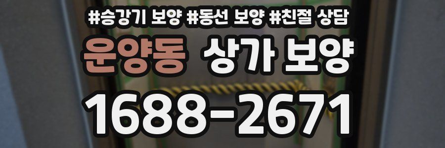 운양동 상가 보양