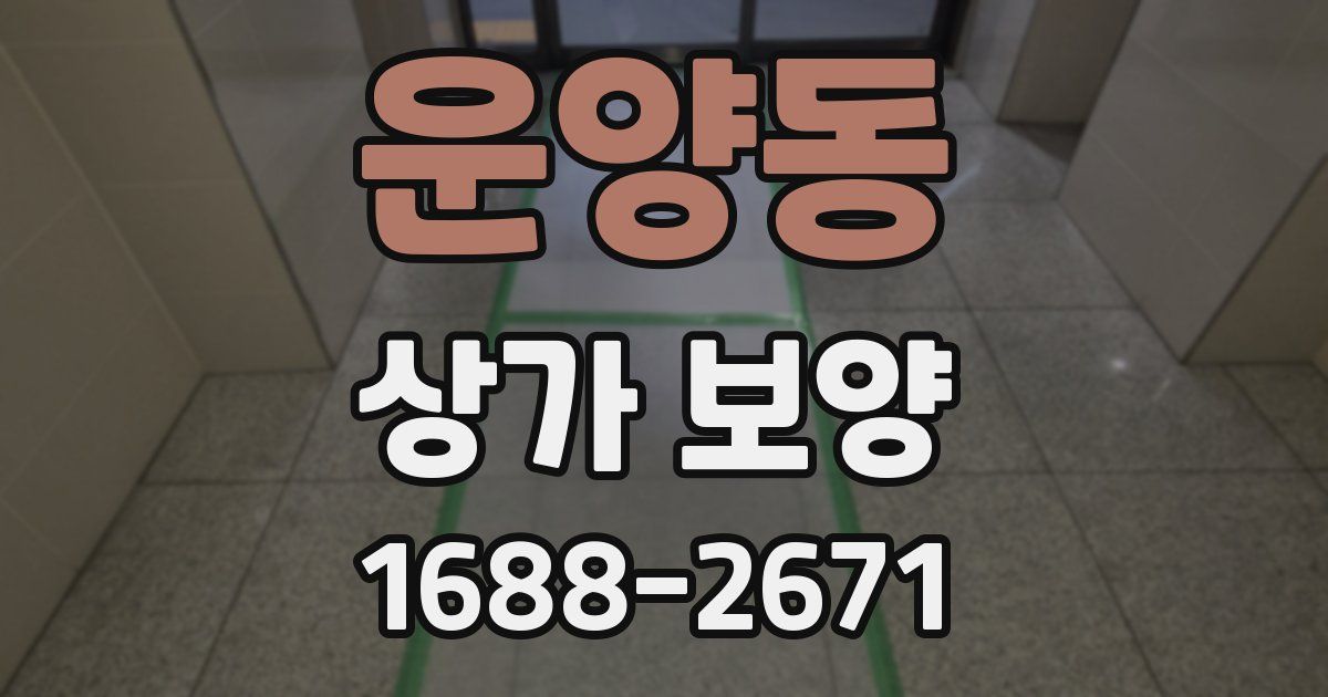 운양동 상가 보양