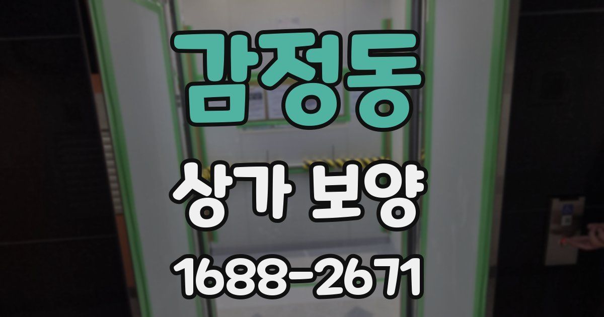 감정동 상가 보양