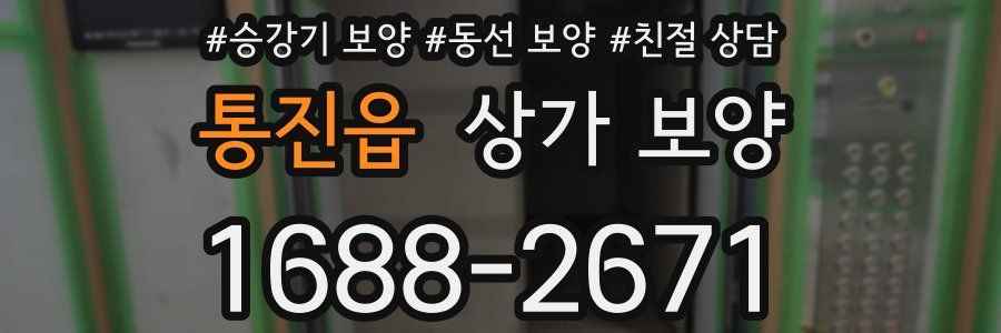 통진읍 상가 보양