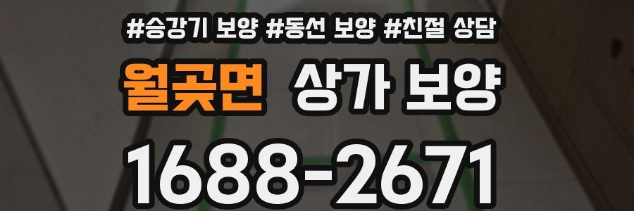 월곶면 상가 보양