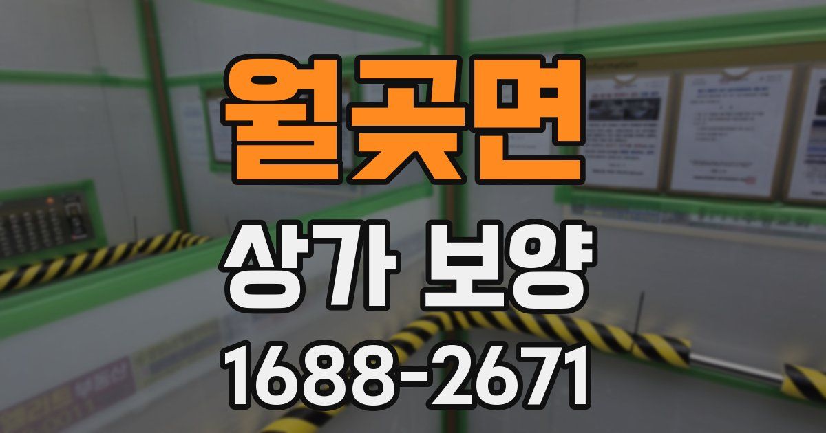 월곶면 상가 보양