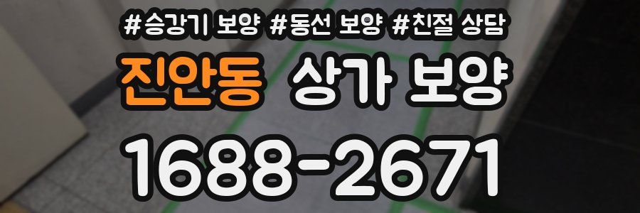 진안동 상가 보양
