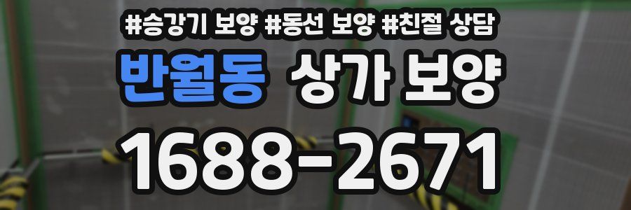 반월동 상가 보양