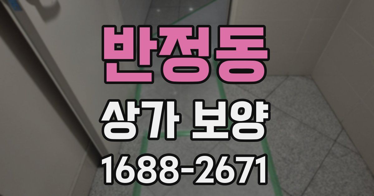 반정동 상가 보양
