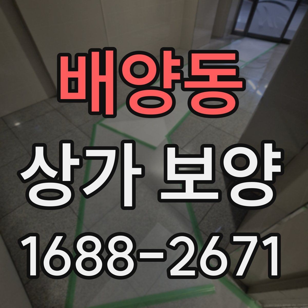 배양동 상가 보양 작업의 완성도를 높이는 실무 방법