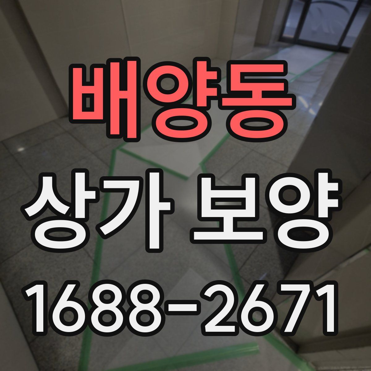 배양동 상가 보양