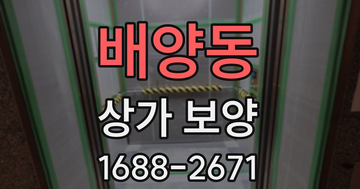 배양동 상가 보양