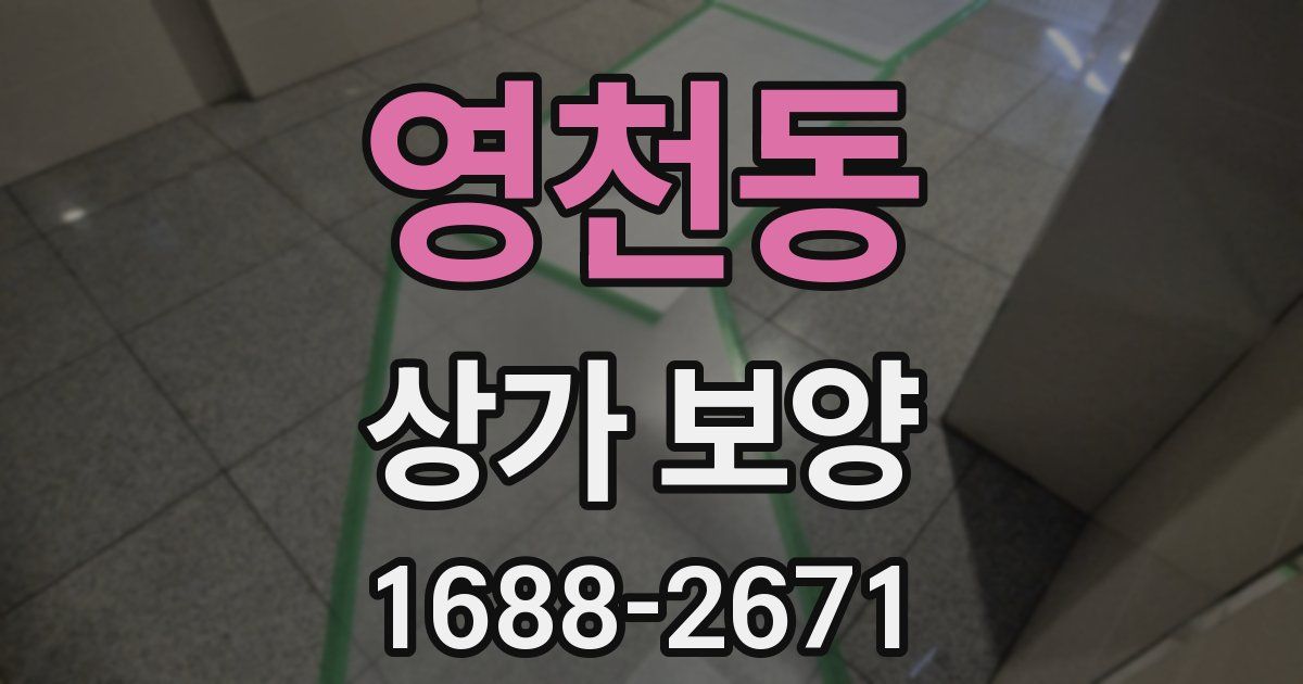 영천동 상가 보양