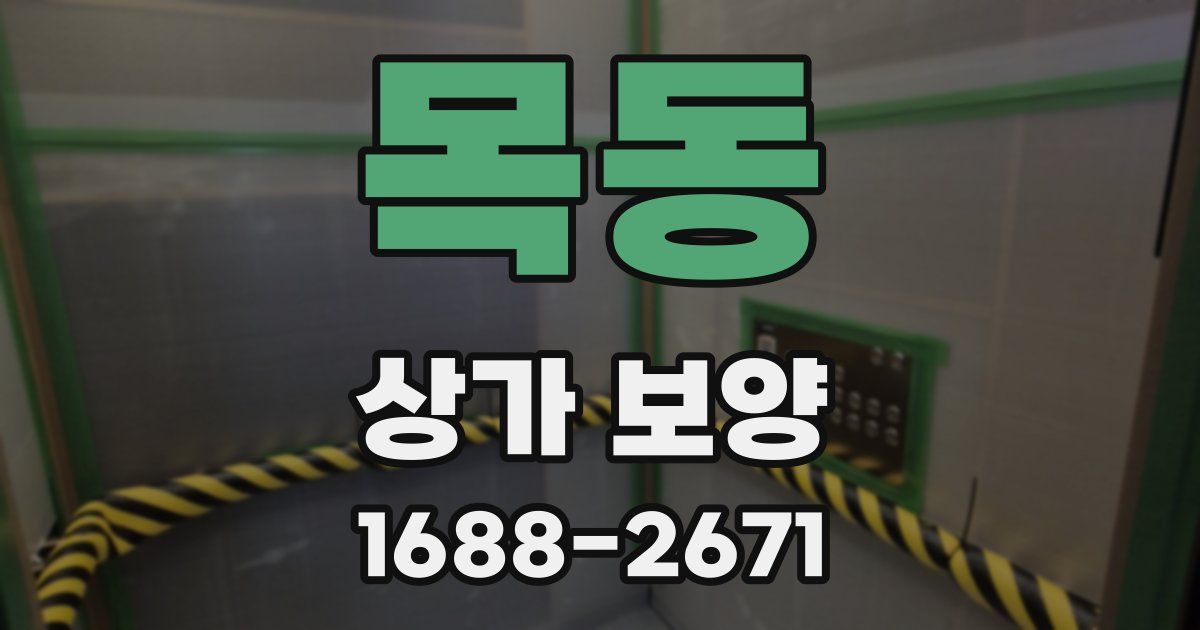 목동 상가 보양