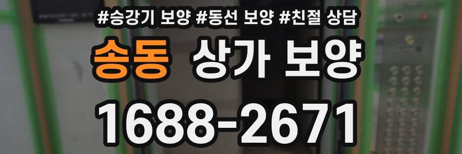 송동 상가 보양