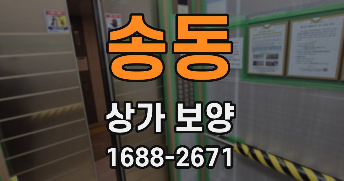 송동 상가 보양