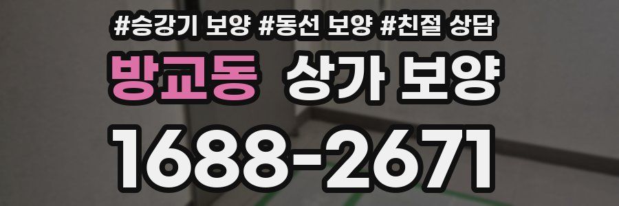 방교동 상가 보양