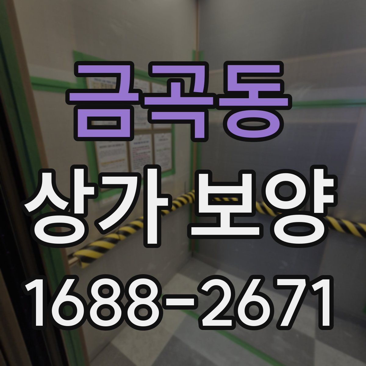 금곡동 상가 보양