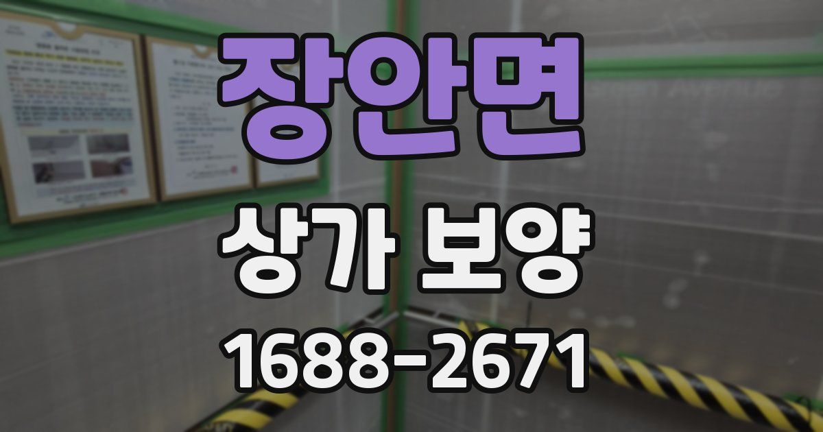 장안면 상가 보양