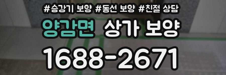 양감면 상가 보양