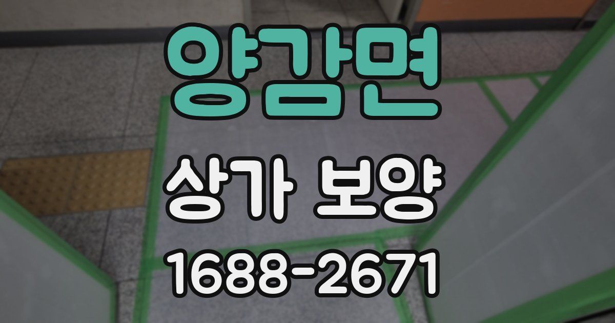 양감면 상가 보양