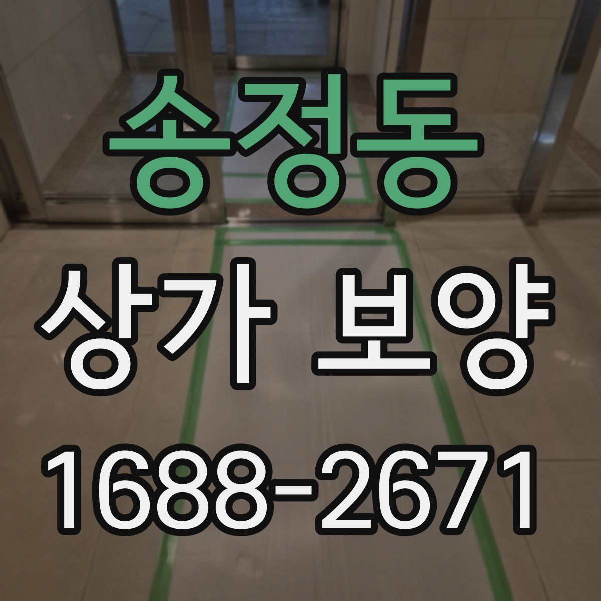 송정동 상가 보양