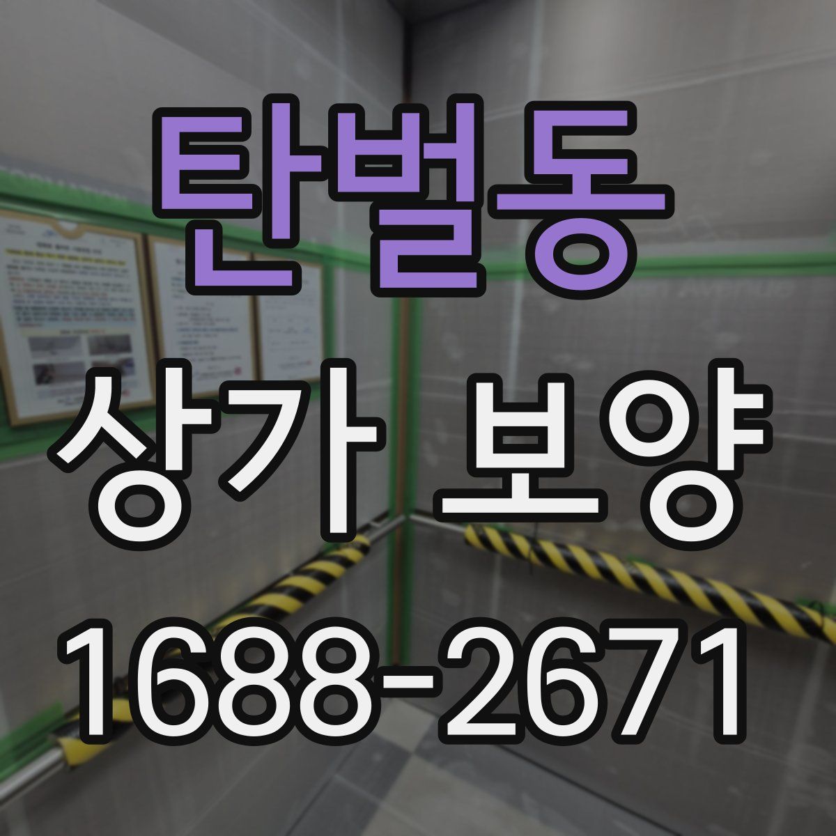 탄벌동 상가 보양