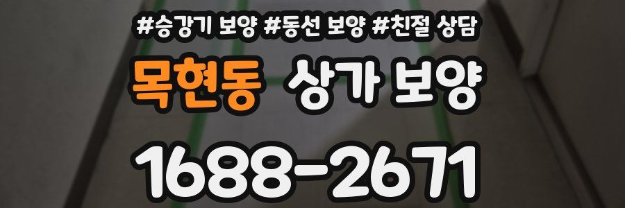 목현동 상가 보양