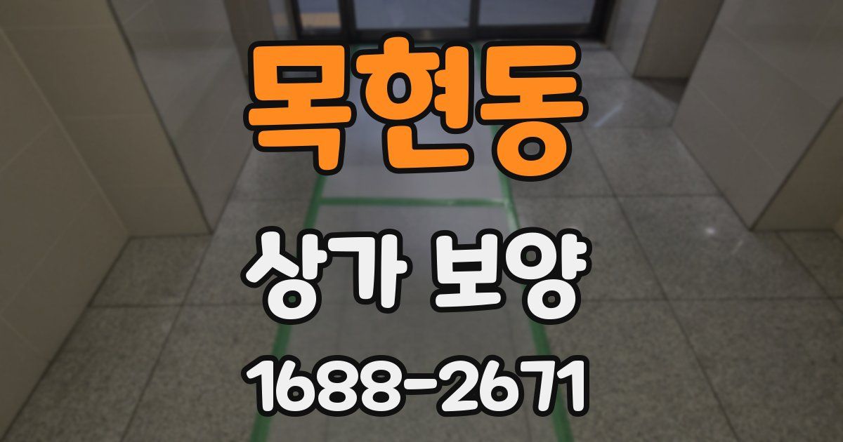 목현동 상가 보양