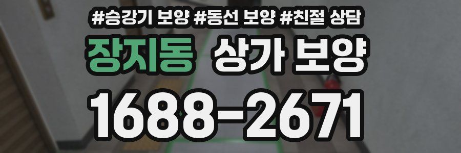 장지동 상가 보양