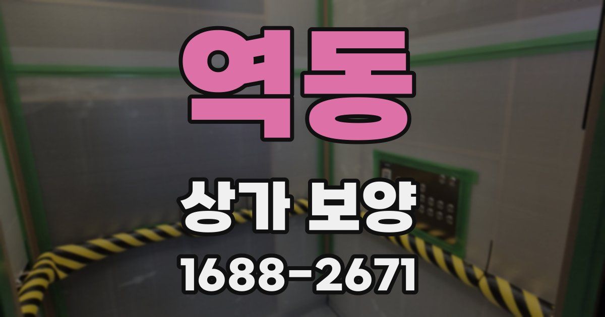 역동 상가 보양