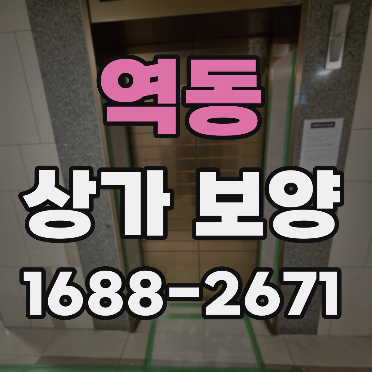 역동 상가 보양