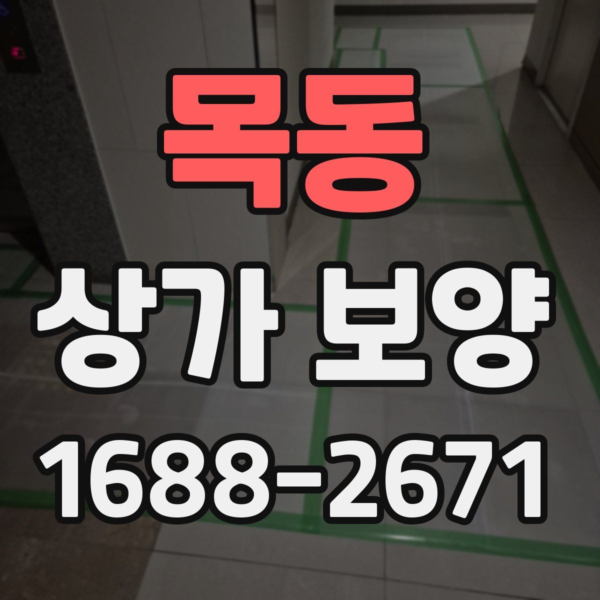 목동 상가 보양