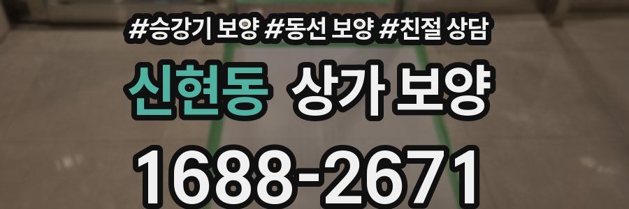 신현동 상가 보양