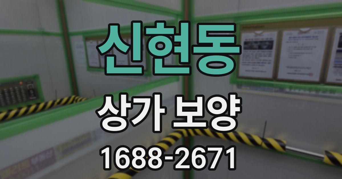 신현동 상가 보양