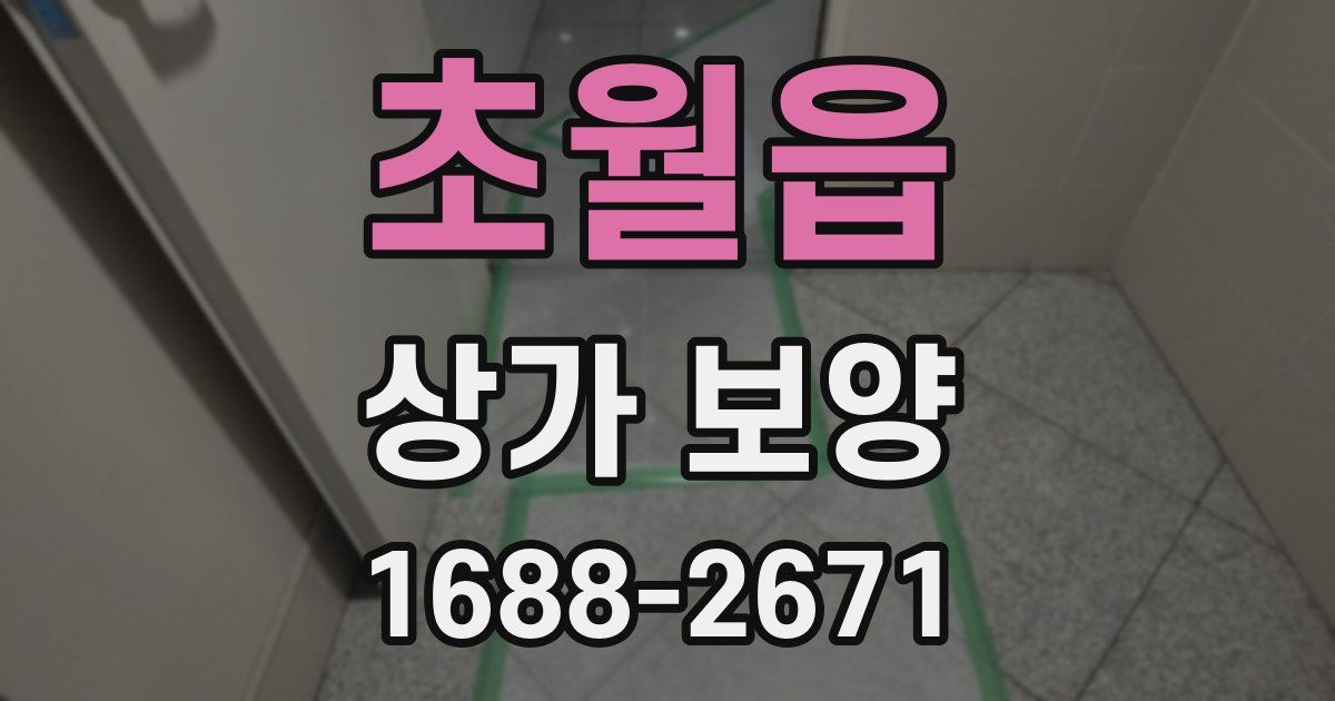 초월읍 상가 보양