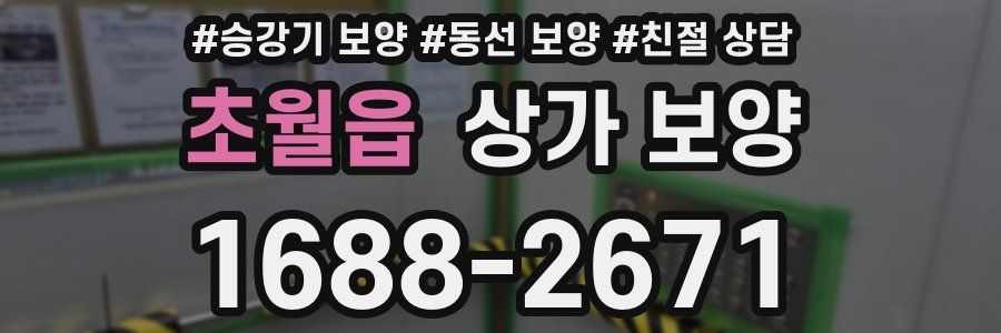초월읍 상가 보양