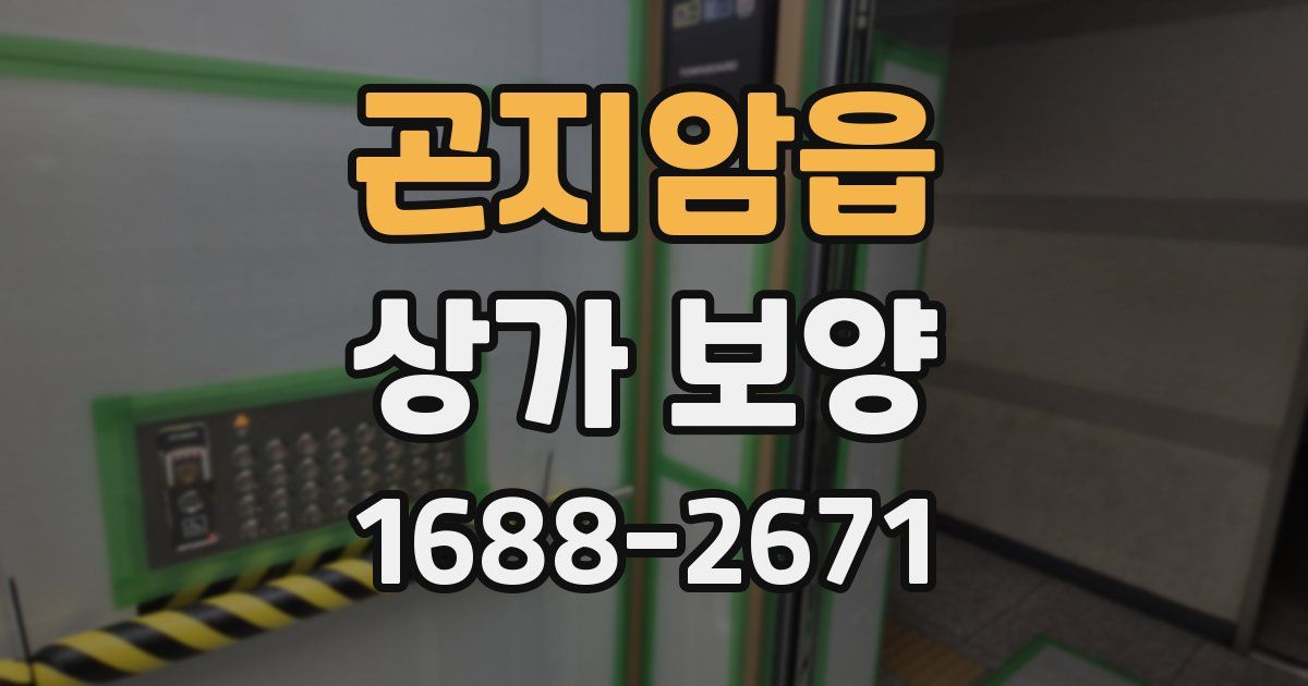 곤지암읍 상가 보양