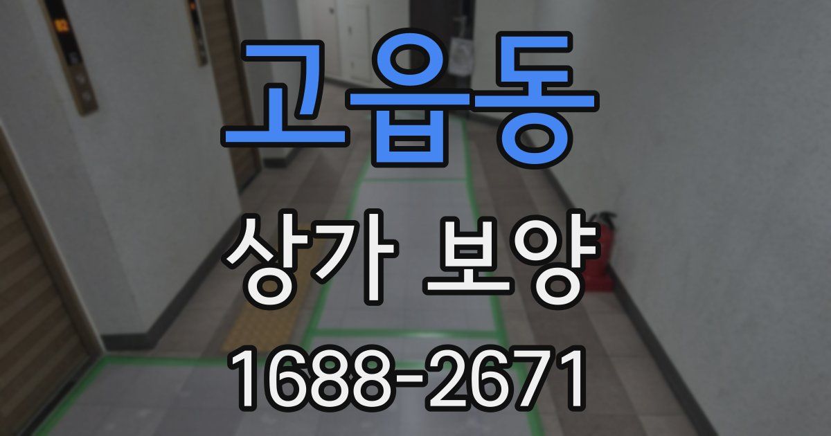 고읍동 상가 보양
