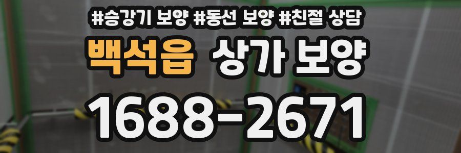 백석읍 상가 보양