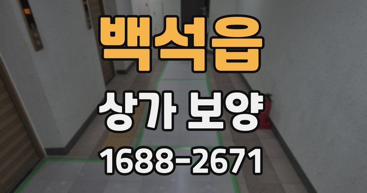 백석읍 상가 보양