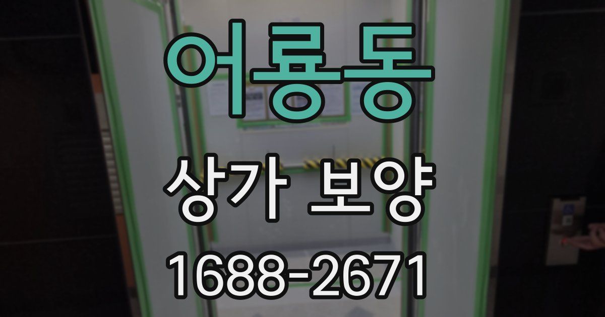 어룡동 상가 보양
