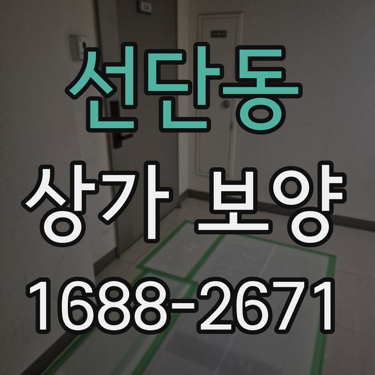 선단동 상가 보양 작업에서 놓치기 쉬운 체크포인트